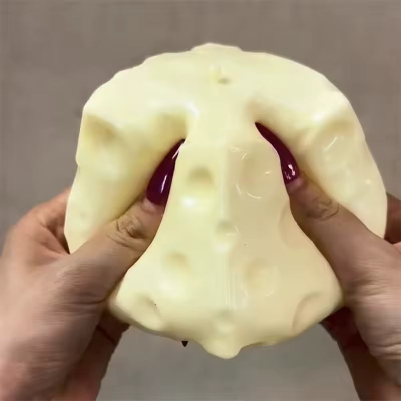 Jumbo Cheese Squishy